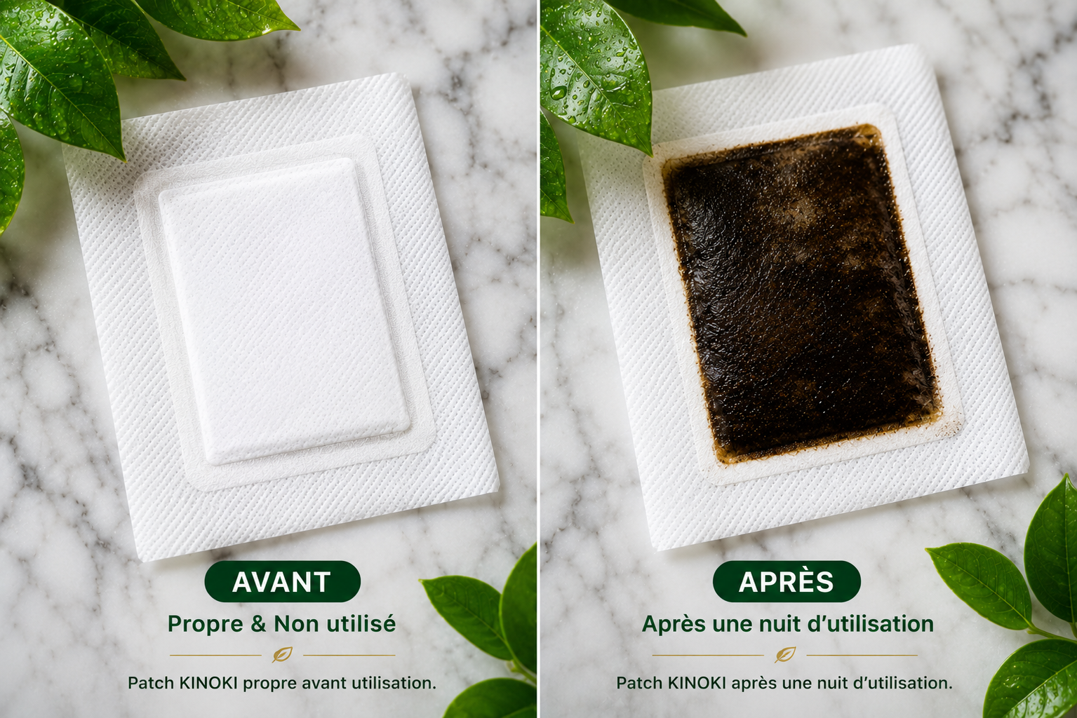 KINOKI — Patchs Detox pour les Pieds (Lot de  Boîtes)